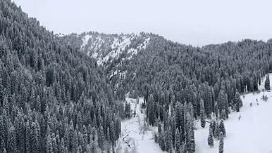 新疆伊犁州寞乎儿山中雪景视频的预览图
